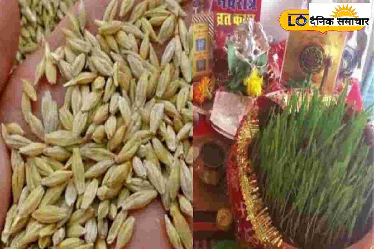 नवरात्रि में ये अनाज 3 तरीकों से दिलाएगा कर्ज से मुक्ति, जानें प्रयोग की विधि