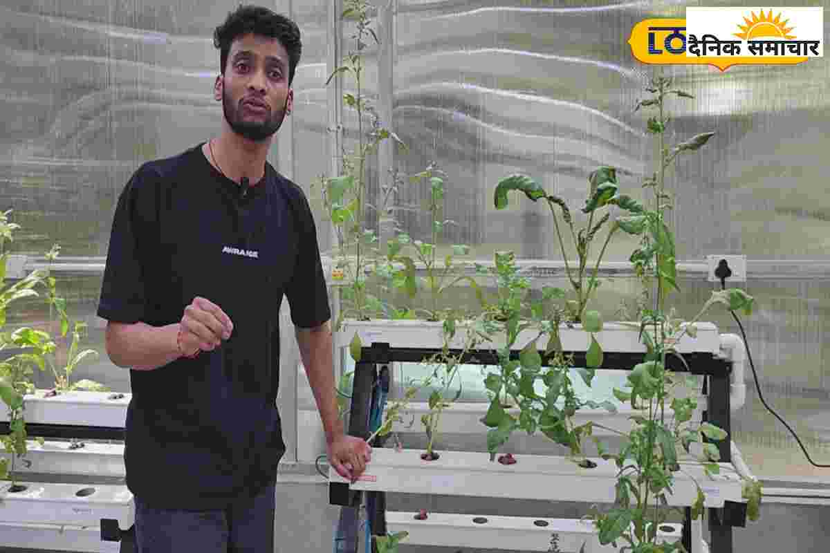 नैनीताल के इस कॉलेज में बिना मिट्टी पानी के हो रही खेती, उगाई जा रहीं सब्जियां