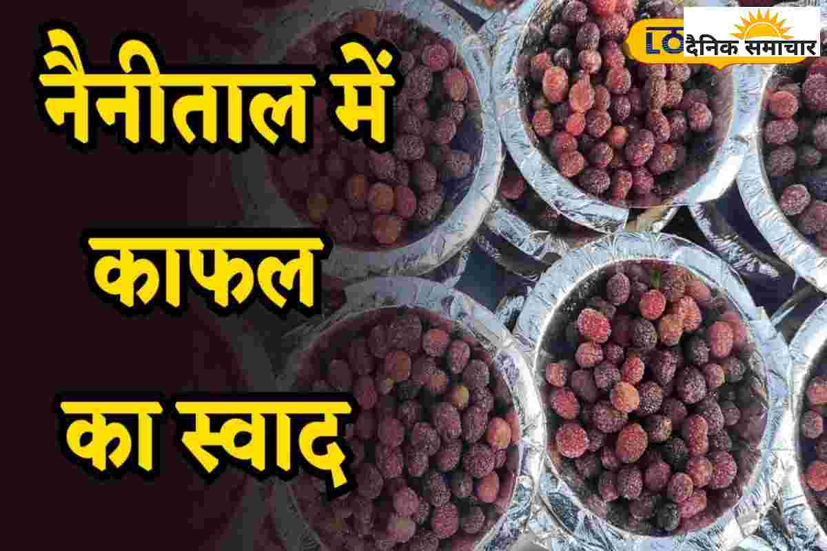 सिर्फ कुछ ही महीने मिलता है ये जंगली फल, फायदे जान उड़ जाएंगे होश