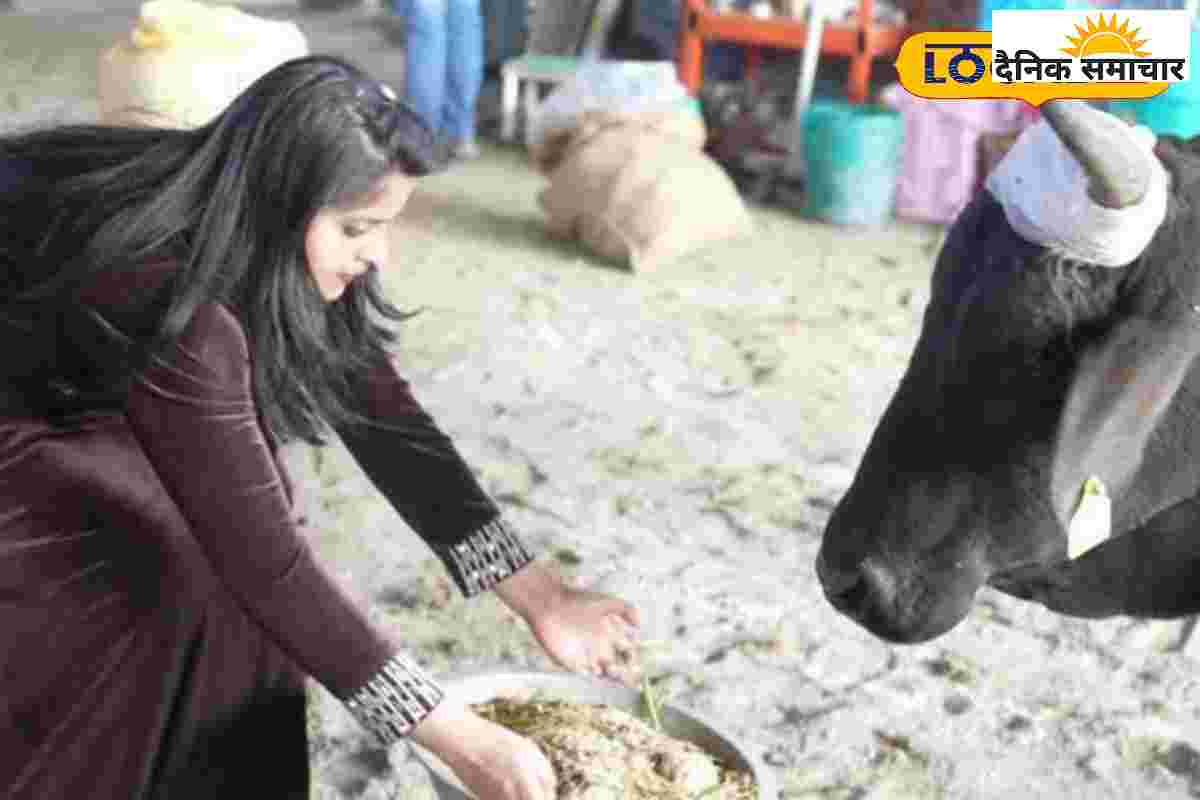 देहरादून की ये संस्था बनी बेजुबानों की मसीहा, सड़कों से उठाकर करती है इलाज…