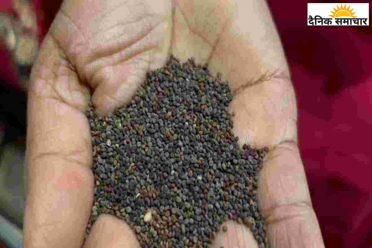 जखिया डालते ही महक उठेगा किचन, स्वाद भी सुपर, सेहत भी शानदार, जानें तरीका