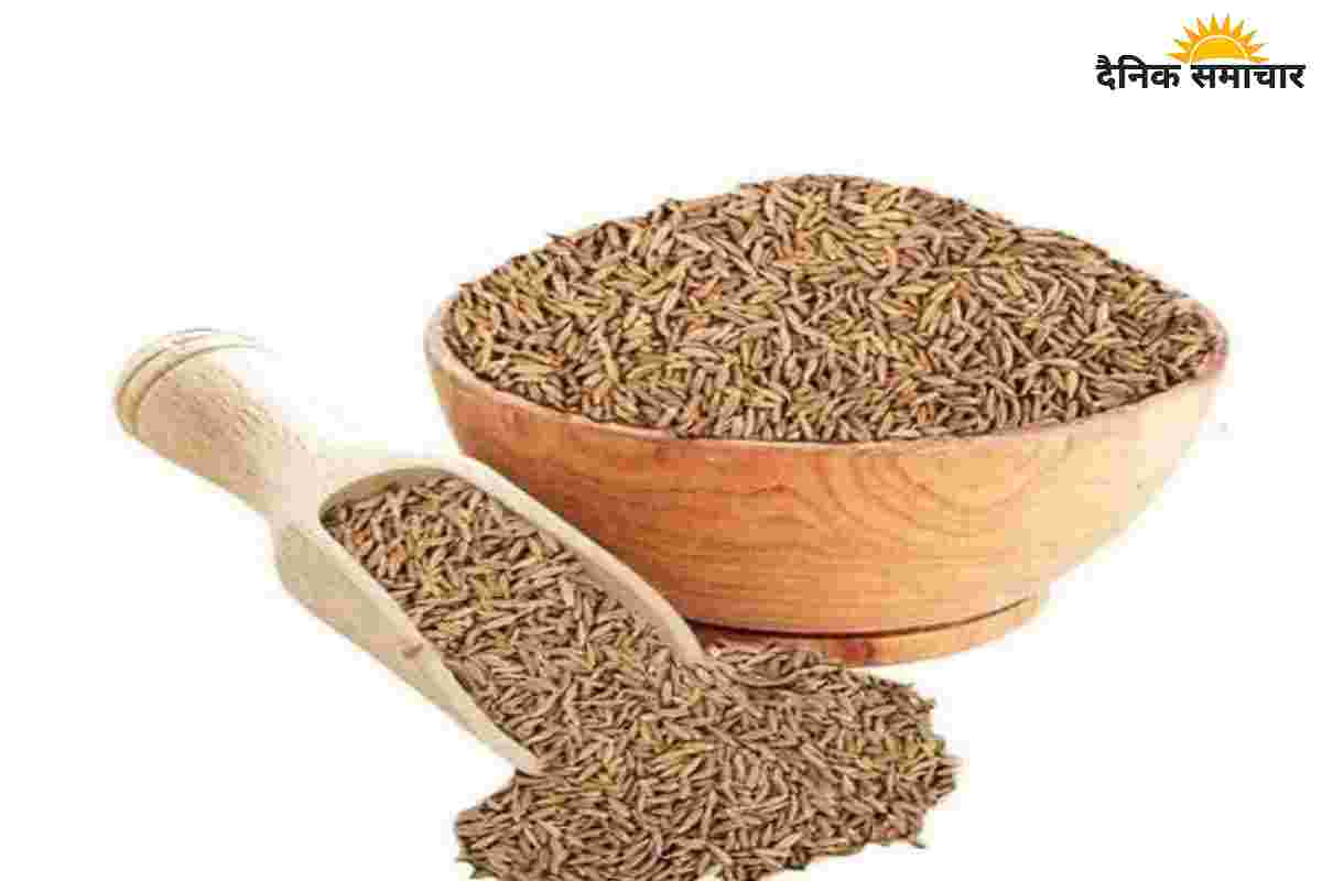 डिटॉक्स से लेकर विटामिन B12 तक, यह है हेल्थ का ऑलराउंडर, जानें सेवन का तरीका