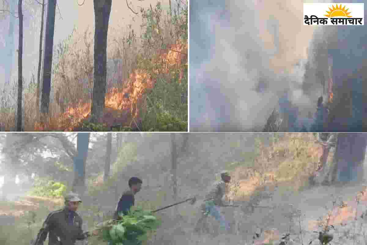 Nainital VIDEO: नैनीताल के जंगलों में लगी आग बेकाबू, पर्यटक परेशान
