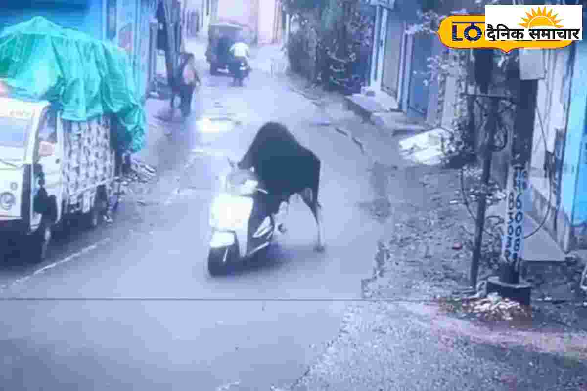 ऋषिकेश में सांड ने चलाई स्कूटी, वीडियो देख हंसते-हंसते लोटपोट हो जाएंगे