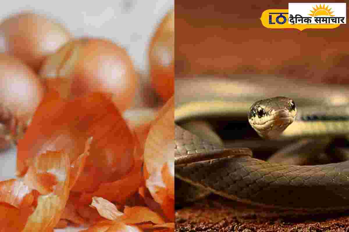 पहाड़ों में सांपों को भगाने के लिए आज भी अपनाया जाता है ये घरेलू नुस्खा