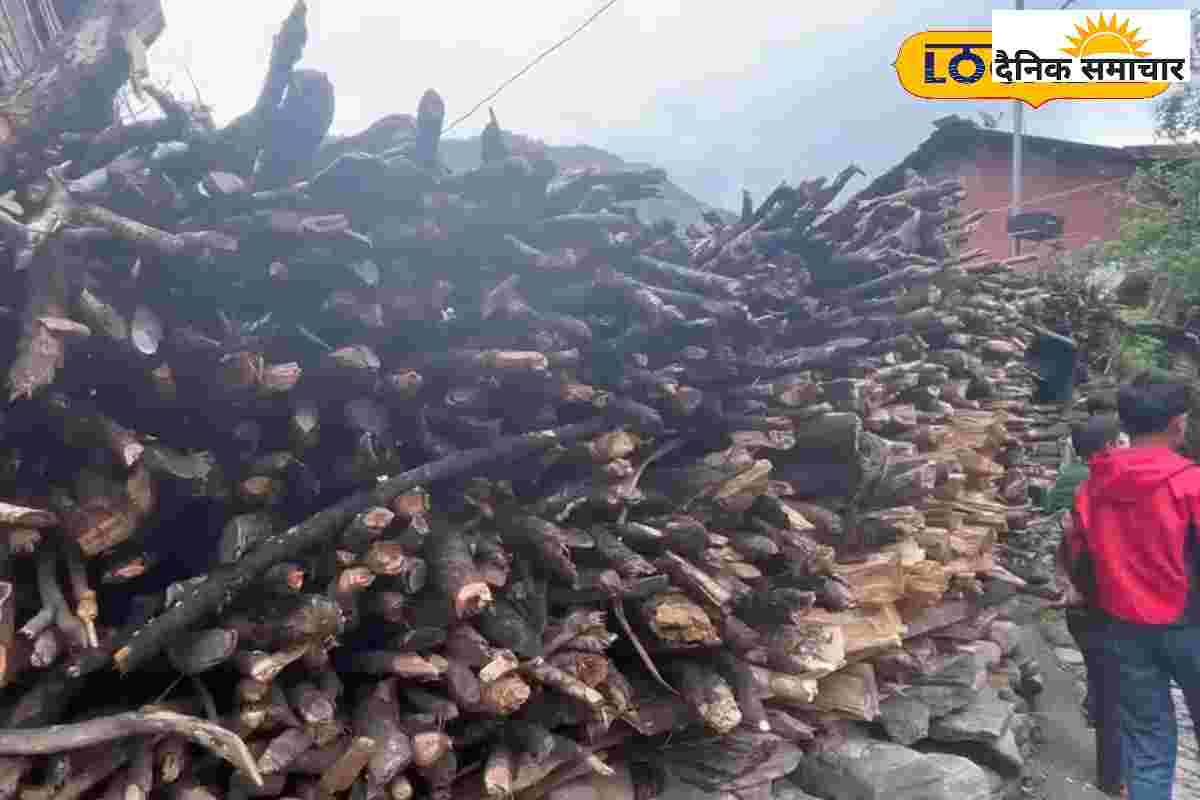 पहाड़ों में क्यों इकट्ठा की जाती हैं 6 महीने तक लकड़ियां?जानिए ये अनोखी परंपरा