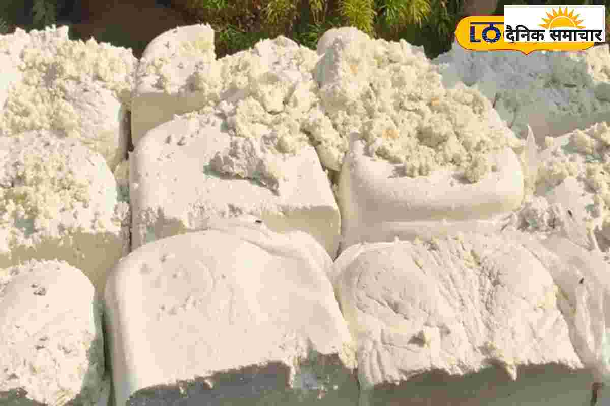 पनीर में यूरिया या डिटर्जेंट! अब झट से करें पहचान, अपनाएं 2 बूंद वाली ये ट्रिक