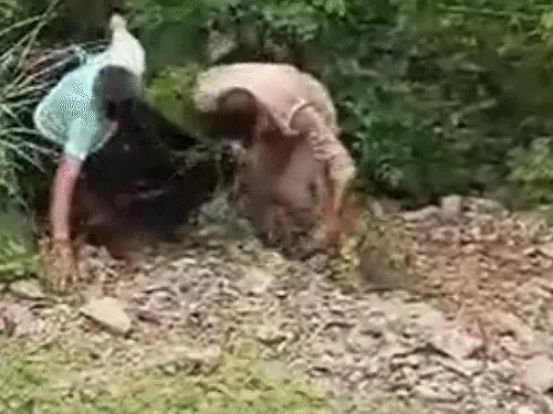 दर्दनाक हादसा!, गहरी खाई में बोलेरो गिरने से पूरा परिवार खत्म, दो बच्चे भी शामिल – Khabar Uttarakhand