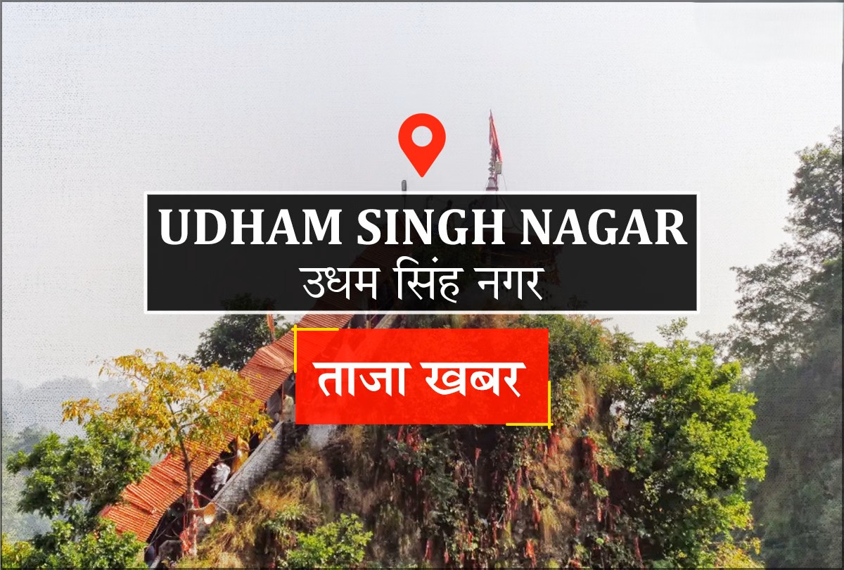 धान बेचने वाले किसानों के लिए जरूरी खबर, बिना पंजीकरण नहीं होगी सरकारी खरीद !