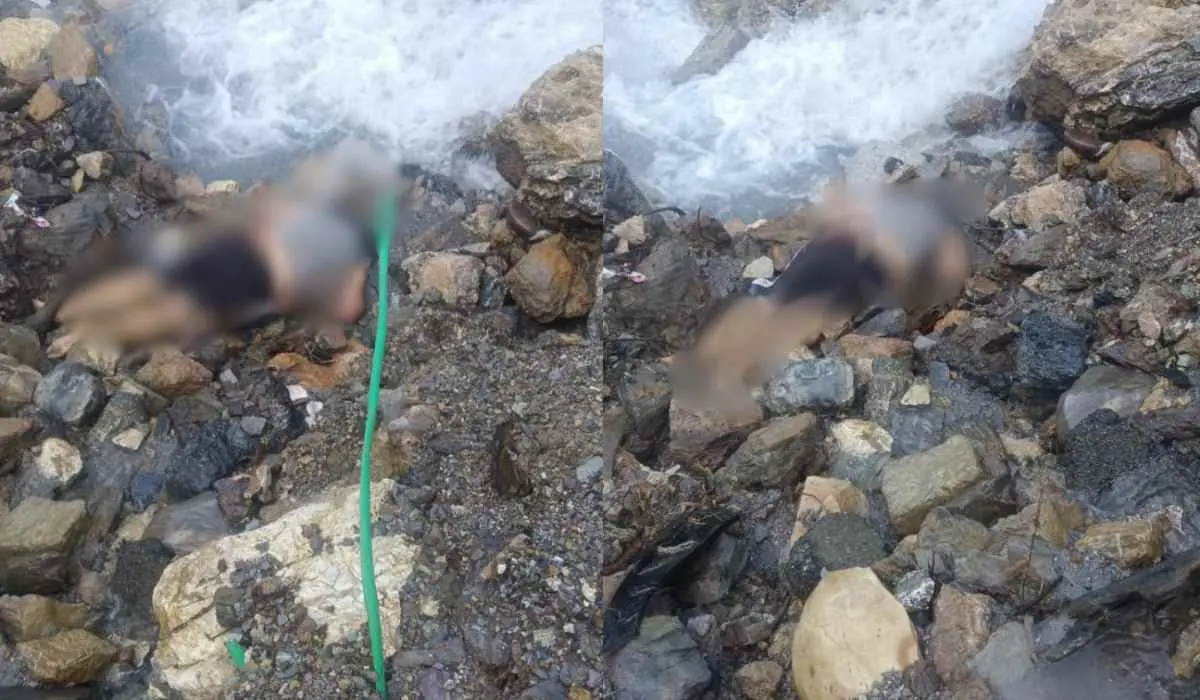 देहरादून से मसूरी घूमने के लिए निकला था शख्स, खाई में गिरने से मौत